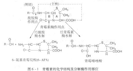 2017年初级西药师考试知识点汇总