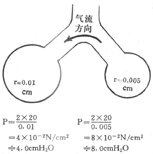 表面活性物质使肺泡液-气界面的表面张力降至10-4n/cm以下,比血浆的5