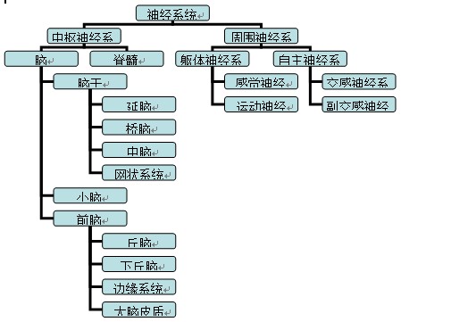 (一)神经系统的基贬结构