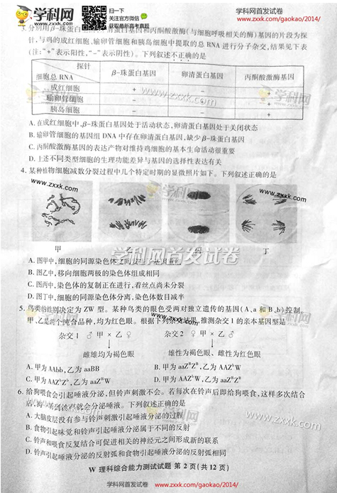 2014安徽高考理科综合试题及答案（图片版）2