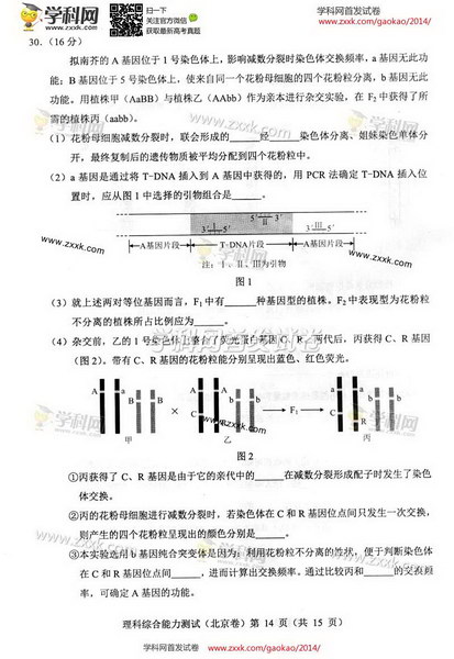 2014北京高考理科综合试题