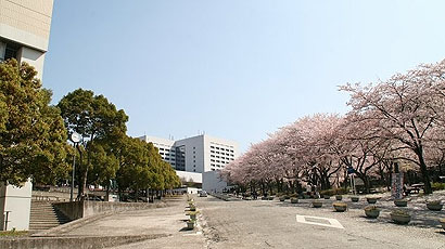 日本名校--中央大学