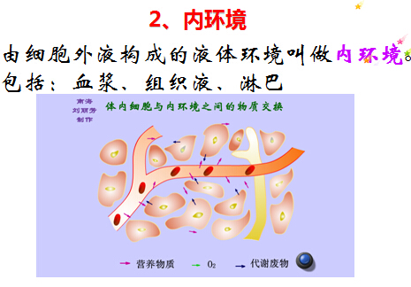 高二生物4教案:细胞生活的环境(1)(第4页)_高考_新东方在线