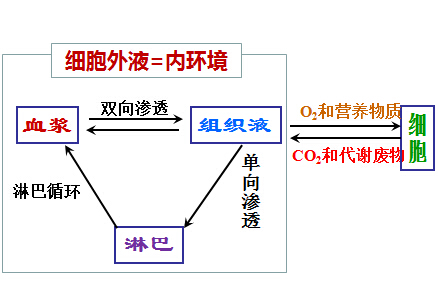 高中语文试讲教案模板_高中生物试讲教案模板_高中音乐试讲教案模板