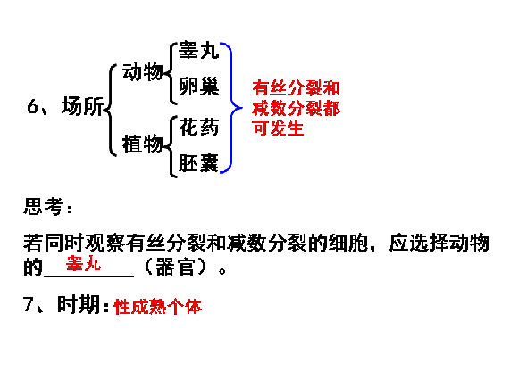 减数分裂和受精作用(1)