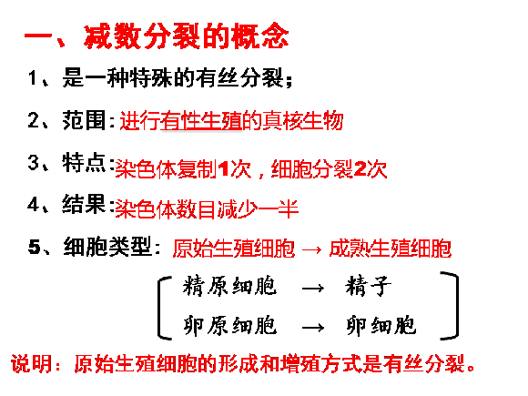 减数分裂和受精作用(1)