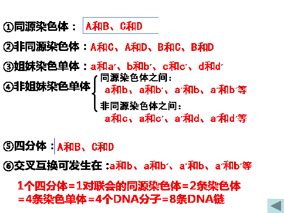 减数分裂和受精作用(1)