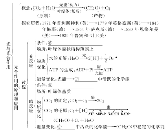 八年级生物教案_生物教案下载_课程标准新教案·生物八年级上