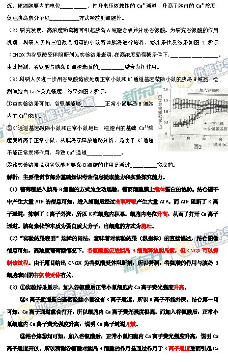 2014-2015北京海淀区高三期末考试生物答案解析