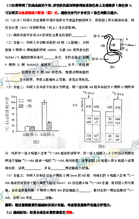 2014-2015北京海淀区高三期末考试生物试题及答案解析