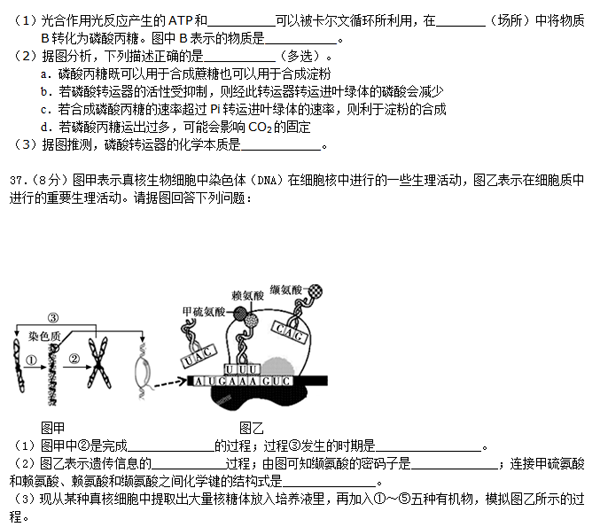 2014-2015朝阳区高三上学期期末考试生物试题及答案