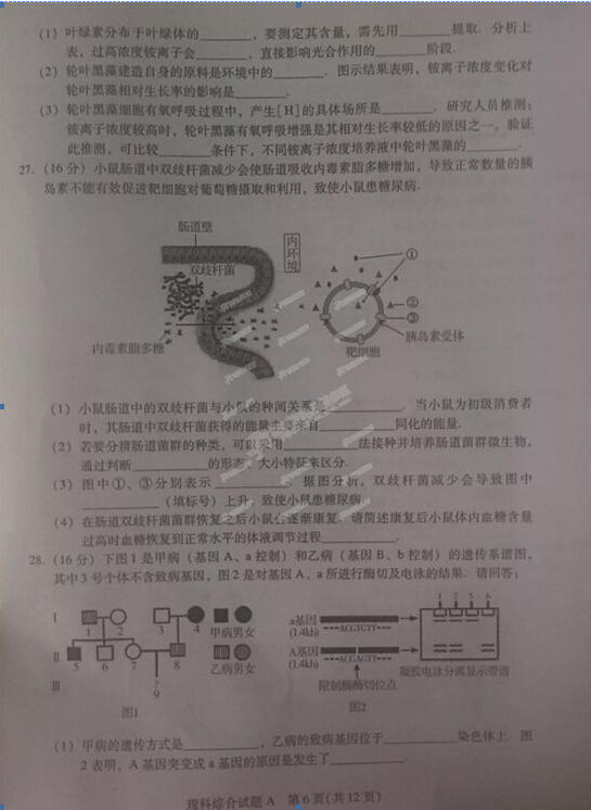 2015广州一模生物试题及答案