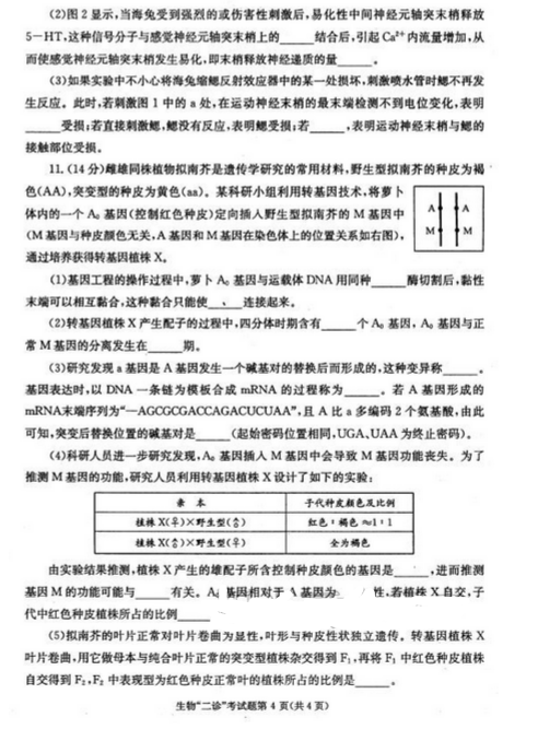 2015成都二诊生物试题及答案