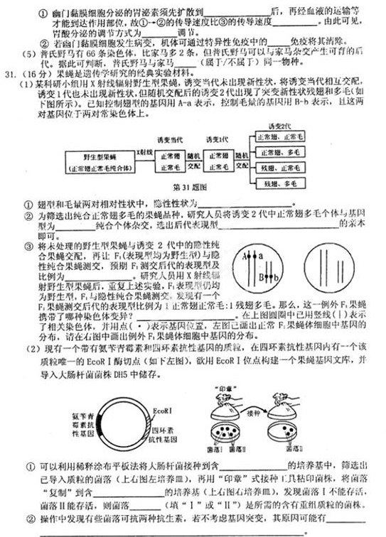 2015安庆二模理综试题及答案