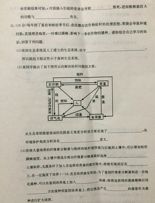 2015合肥二模理综试题及答案