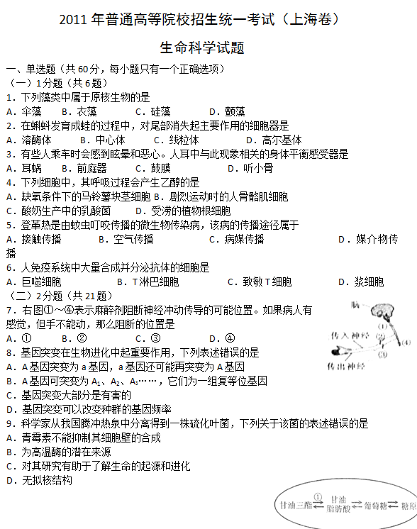 2011年上海高考生物试题及答案