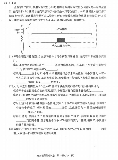 2015北京朝阳高三一模理综试题及答案