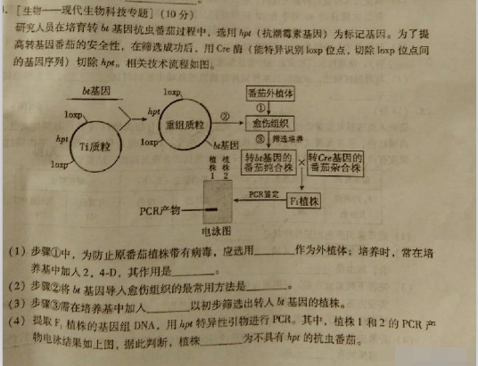 2015年福建省高三质检生物试题