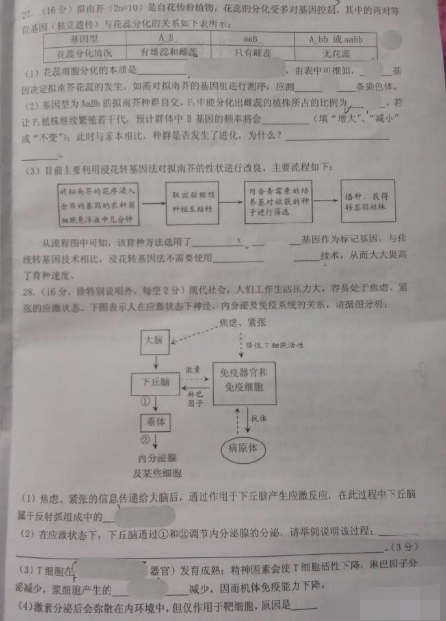 2015湛江二模理综试题