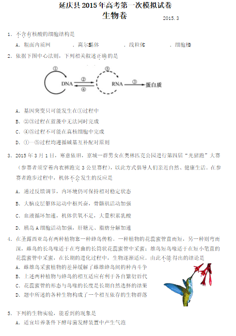 2015北京延庆高三一模生物试题及答案