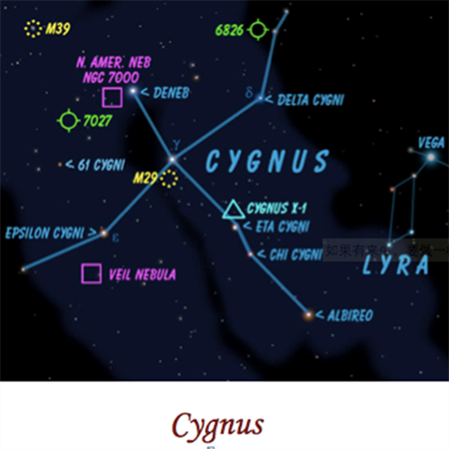托福词汇积累：动物的童年(上)