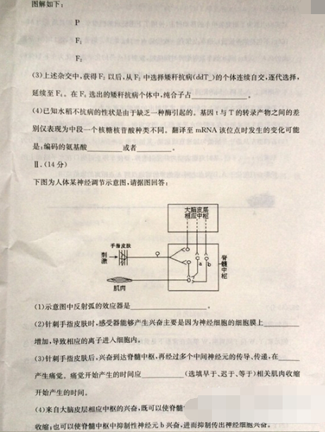 2015合肥三模理综试题及答案
