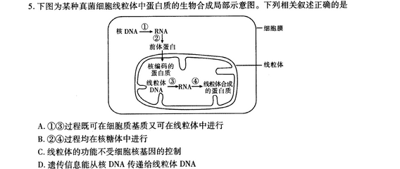 2015厦门质检生物试题及答案