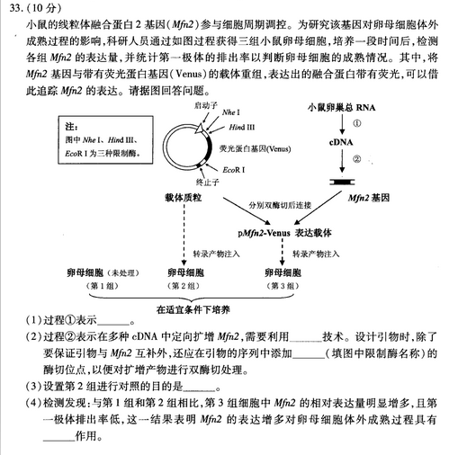 2015厦门质检生物试题及答案