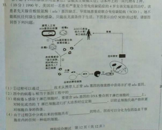 2015龙岩质检理综试题及答案