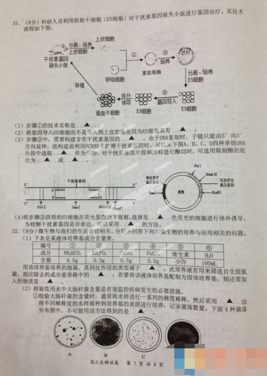 2015盐城三模生物试题及答案