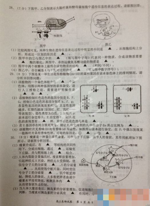 2015盐城三模生物试题及答案 2015盐城三模生物试题及答案