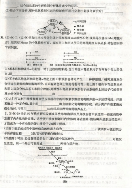 2015江南十校联考二模理综试题及答案
