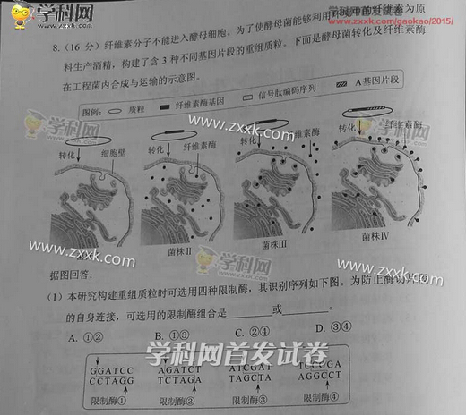 2015天津高考理科综合试卷试题