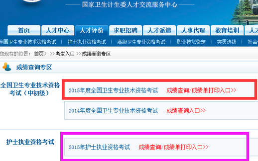 中国人才卫生网查成绩