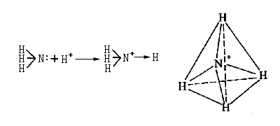 化学键类型