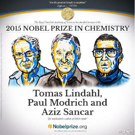 2015诺贝尔奖：3人获诺贝尔化学奖(作文素材)