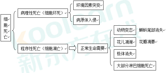 2017高考生物复习：细胞的死亡