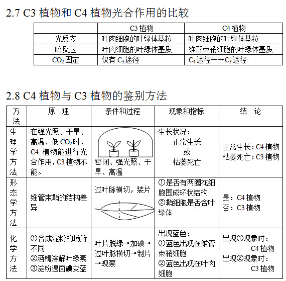 2017高考生物复习：C4植物与C3植物