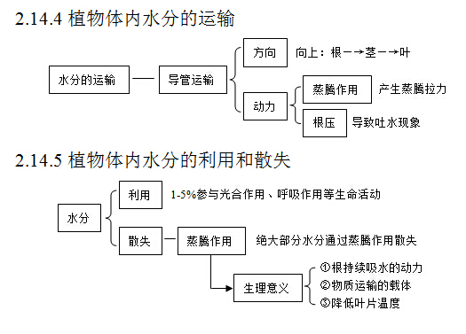 2017高考生物复习:植物对水分的吸收和利用