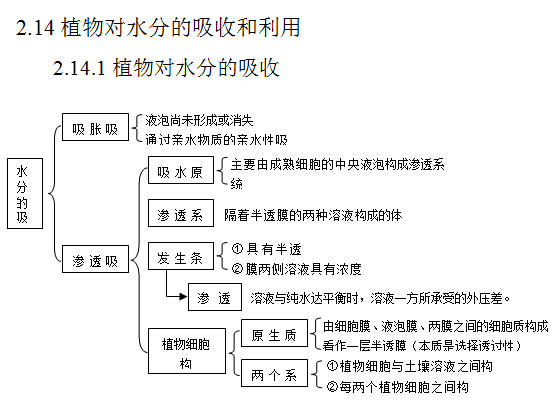 2017高考生物复习：植物对水分的吸收和利用