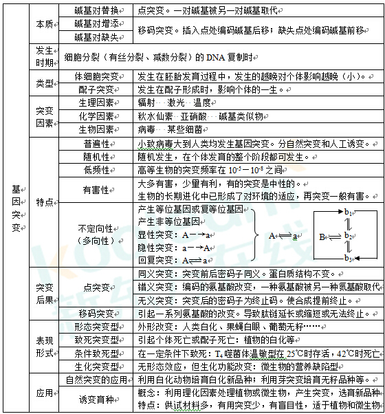 高考生物总复习 第5章 基因突变及其他变异 第2节 染色体变异课件 新