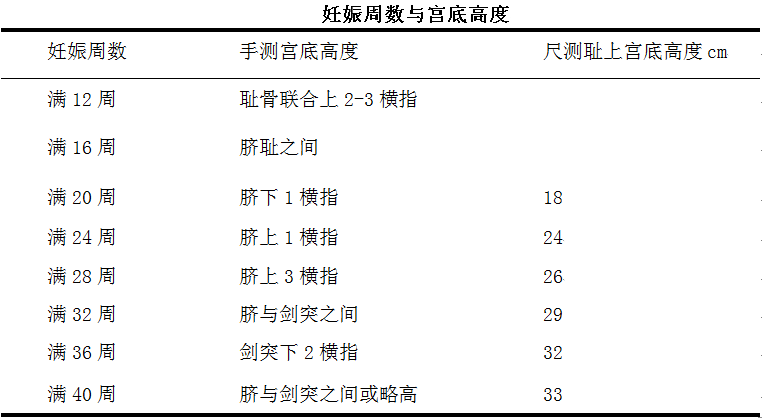 护理学专业知识妊娠各期胎儿发育特点及宫底高度