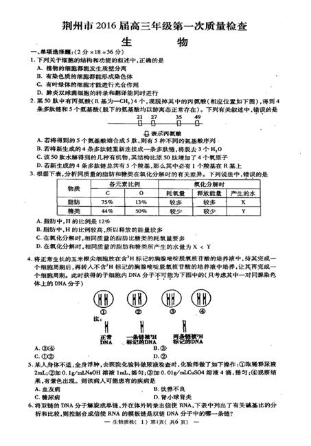 2016届湖北荆州高三第一次质检生物试题及答案