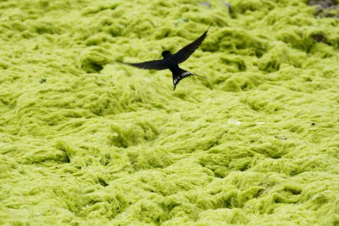 托福词汇:用英语聊聊二十四节气之立春的传统风俗 托福词汇:用英语聊聊二十四节气之立春的传统风俗