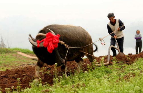 托福词汇:用英语聊聊二十四节气之立春的传统风俗 托福词汇:用英语聊聊二十四节气之立春的传统风俗