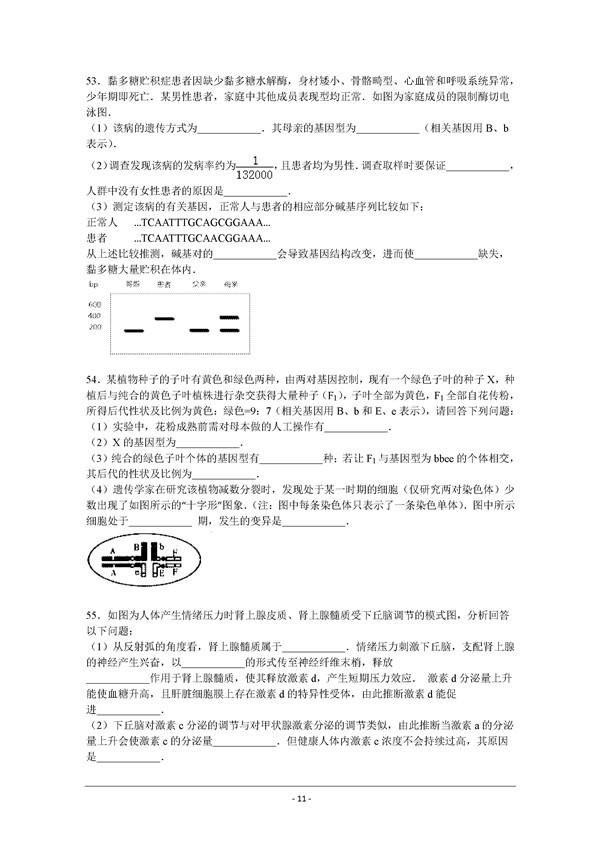 2016学年北京丰台区高三期末生物试题及答案 2016学年北京丰台区高三期末生物试题及答案