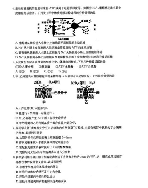 2016合肥一模生物试题