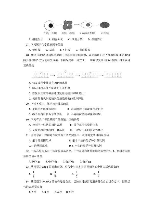 2016学年北京东城区高二期末生物试题及答案