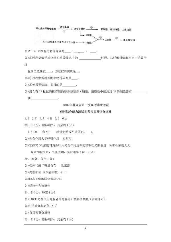 2016甘肃一诊理综试题及答案