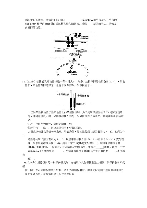 2016合肥二模生物试题及答案